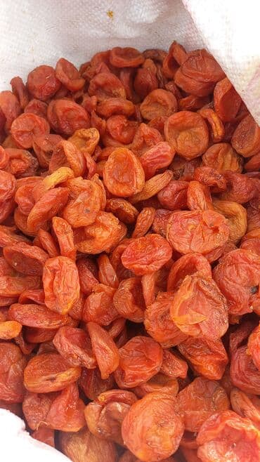 Ассалом алейкум Баткендин оругун оптом баада сатабыз арзан Курага at lalafo.kg Ассалом алейкум Баткендин оругун оптом баада сатабыз арзан Курага