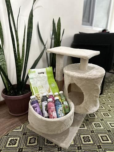 Когтеточка-домик для кошек, компактная и многоуровневая. - Материал lalafo.kg да — 4 Когтеточка-домик для кошек, компактная и многоуровневая. - Материал — 4