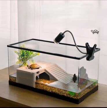 🐢 Идеальный аквариум для водных черепах и рыб! Создайте комфортный и at lalafo.kg 🐢 Идеальный аквариум для водных черепах и рыб! Создайте комфортный и