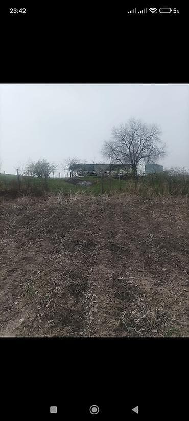 1 соток, Для сельского хозяйства, Тех паспорт at lalafo.kg 1 соток, Для сельского хозяйства, Тех паспорт