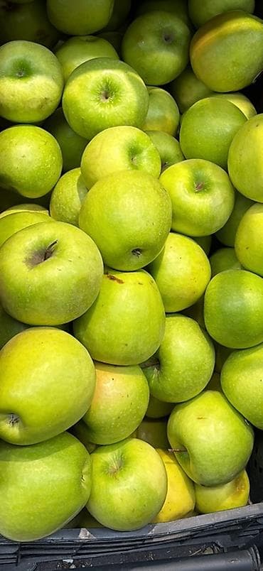 Яблоки at lalafo.kg Яблоки