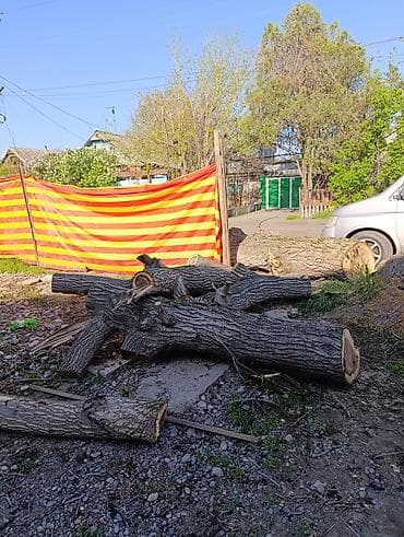 Дрова Самовывоз at lalafo.kg Дрова Самовывоз