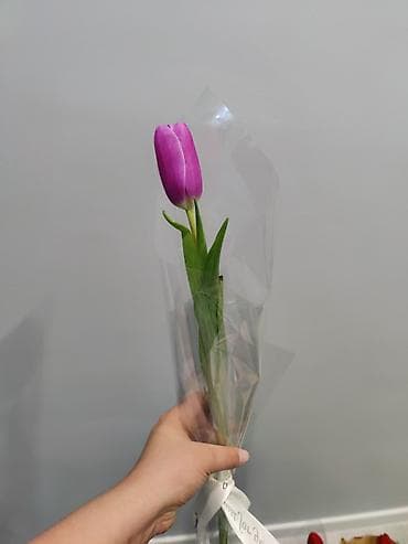 Бонбоньерки: Тюльпаны в крафтовых букетах - Срезанные тюльпаны ярких оттенков at lalafo.kg — 2 Бонбоньерки: Тюльпаны в крафтовых букетах - Срезанные тюльпаны ярких оттенков — 2