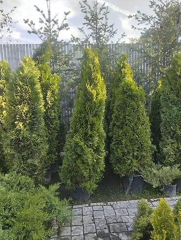 ВСЕ ВИДЫ ДЕМОНТАЖНЫХ РАБОТ: СНОС ХОЗ.ПОСТРОЕК СЛОМ БЕТОНА УБОРКА at lalafo.kg ВСЕ ВИДЫ ДЕМОНТАЖНЫХ РАБОТ: СНОС ХОЗ.ПОСТРОЕК СЛОМ БЕТОНА УБОРКА