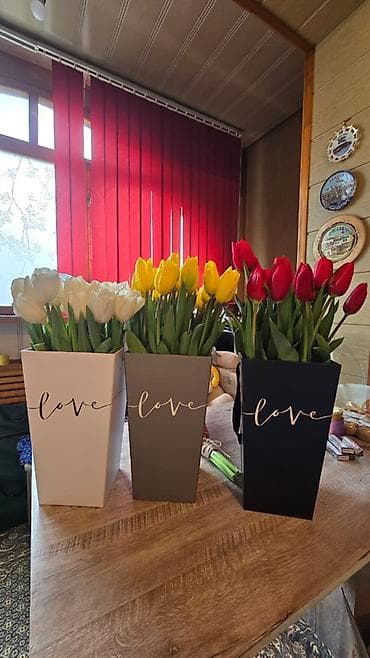 LED гирляндалар: Цветы и подарочные композиции - Тюльпаны срезанные в индивидуальной lalafo.kg да — 1 LED гирляндалар: Цветы и подарочные композиции - Тюльпаны срезанные в индивидуальной — 1