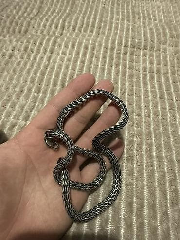 Цепочка, Якорное, Проба 925, Унисекс, Новый at lalafo.kg Цепочка, Якорное, Проба 925, Унисекс, Новый