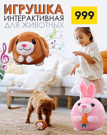 Интерактивная игрушка для животных - Мягкий плюшевый шарик в виде at lalafo.kg Интерактивная игрушка для животных - Мягкий плюшевый шарик в виде