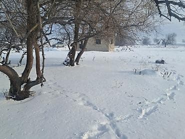 Proton: 20 соток, Для сельского хозяйства, Красная книга, Тех паспорт at lalafo.kg — 7 Proton: 20 соток, Для сельского хозяйства, Красная книга, Тех паспорт — 7