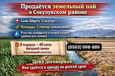 140 соток, Для сельского хозяйства at lalafo.kg 140 соток, Для сельского хозяйства