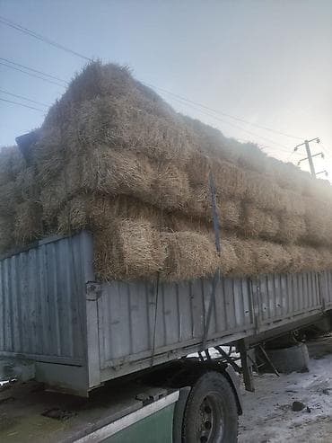 Саман пресс чоп баасы келишим турдо чалыныздар срочно аз калды at lalafo.kg Саман пресс чоп баасы келишим турдо чалыныздар срочно аз калды