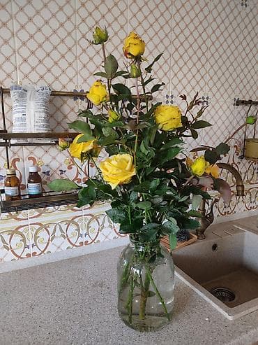 Услуги садовника,уборка территории,с современной техникой,косим at lalafo.kg Услуги садовника,уборка территории,с современной техникой,косим