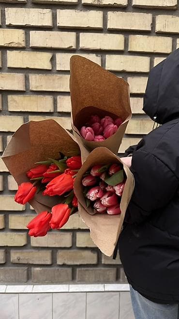 Proton: Порадуйте любимых ярким весенним настроением! Предлагаем свежие lalafo.kg да — 10 Proton: Порадуйте любимых ярким весенним настроением! Предлагаем свежие — 10