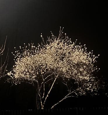 Другие специальности at lalafo.kg Другие специальности