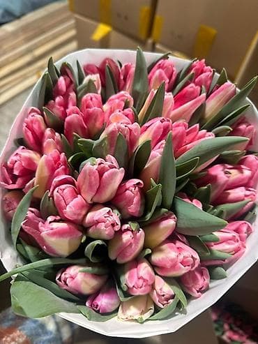 🌷 8 МАРТА УЖЕ БЛИЗКО! ВРЕМЯ ТЮЛЬПАНОВ! 🌷 Принимаем Корпоративные at lalafo.kg 🌷 8 МАРТА УЖЕ БЛИЗКО! ВРЕМЯ ТЮЛЬПАНОВ! 🌷 Принимаем Корпоративные