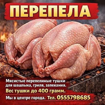 Перепелиное мясо отдадим бесплатно !!! У нас шикарные тушки весом 350 lalafo.kg да Перепелиное мясо отдадим бесплатно !!! У нас шикарные тушки весом 350