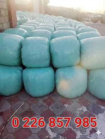 Продаётся кукурузный силос в Кочкоре, Нарынская область! Качественный at lalafo.kg Продаётся кукурузный силос в Кочкоре, Нарынская область! Качественный