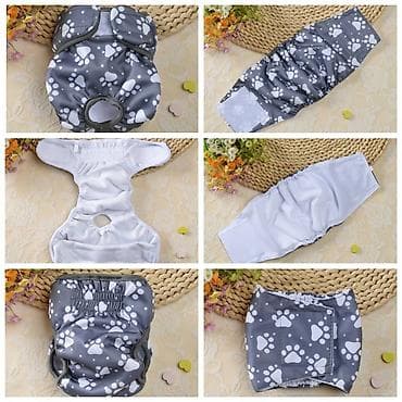 Продаю шлейки для крупных,средних и мелких пород собак по разным at lalafo.kg — 7 Продаю шлейки для крупных,средних и мелких пород собак по разным — 7