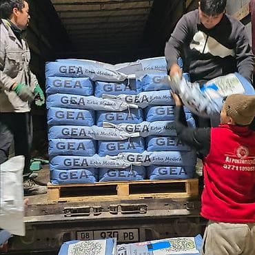 Кара Балта Беде уругу Семена люцерны, сорт Багира. - Фасовка: мешки at lalafo.kg Кара Балта Беде уругу Семена люцерны, сорт Багира. - Фасовка: мешки