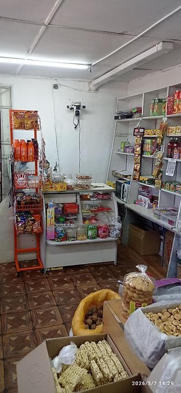 Оюн зоок жана эс алуу: -Сдаются действующие магазин с вместо товаром цена товара примерно lalafo.kg да — 3 Оюн зоок жана эс алуу: -Сдаются действующие магазин с вместо товаром цена товара примерно — 3