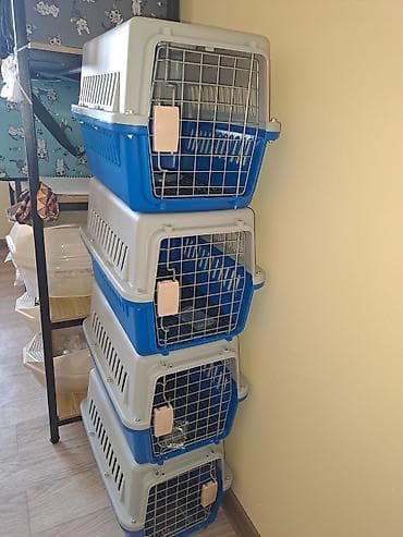 Зоотовары переноска для животных пластиковая размер 48 32 30 размер at lalafo.kg Зоотовары переноска для животных пластиковая размер 48 32 30 размер