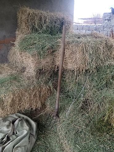 Сено/солома в тюках. - Прямоугольные тюки, спрессованные, удобны для at lalafo.kg Сено/солома в тюках. - Прямоугольные тюки, спрессованные, удобны для