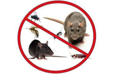 Стирка, прачечная: Дезинфекция, дезинсекция, | Мыши и крысы, Тараканы, Блохи, | Дома, Кафе, магазины, Квартиры at lalafo.kg — 3 Стирка, прачечная: Дезинфекция, дезинсекция, | Мыши и крысы, Тараканы, Блохи, | Дома, Кафе, магазины, Квартиры — 3