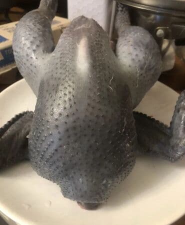 Продаю | Петух, Куры at lalafo.kg Продаю | Петух, Куры