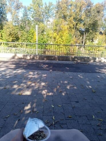 Ищу работу. Мне 17 лет. Раньше работала на кассе, в магазине одежды и at lalafo.kg Ищу работу. Мне 17 лет. Раньше работала на кассе, в магазине одежды и