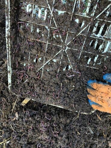 Удобрение Гумус, Самовывоз, Платная доставка at lalafo.kg Удобрение Гумус, Самовывоз, Платная доставка