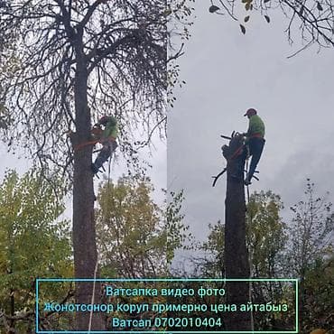 Спил деревьеПрофессиональные высотные работы по деревьям удаление at lalafo.kg Спил деревьеПрофессиональные высотные работы по деревьям удаление