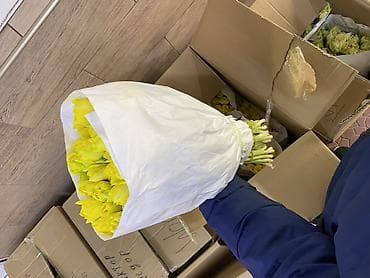 Тюльпаны срезанные — оптом в букетах Описание: - Профессиональная at lalafo.kg — 6 Тюльпаны срезанные — оптом в букетах Описание: - Профессиональная — 6