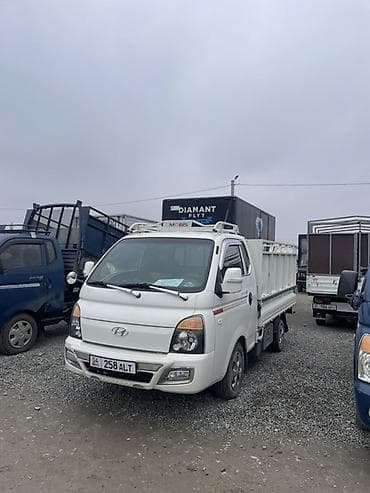 Легкий грузовик, Hyundai, Стандарт at lalafo.kg Легкий грузовик, Hyundai, Стандарт