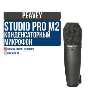Студийный микрофон Peavey Studio Pro M2 🔹 Тип: Конденсаторный с at lalafo.kg Студийный микрофон Peavey Studio Pro M2 🔹 Тип: Конденсаторный с