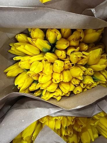 Бонбоньерки: Тюльпаны срезанные — готовые букеты в крафт-упаковке. - В at lalafo.kg — 4 Бонбоньерки: Тюльпаны срезанные — готовые букеты в крафт-упаковке. - В — 4