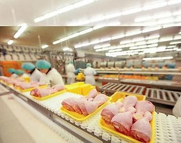 МЕСТО РАБОТЫ Нижегородская область, Павловский район, Долгово at lalafo.kg МЕСТО РАБОТЫ Нижегородская область, Павловский район, Долгово