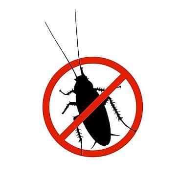 Профессиональная дезинсекция помещений - Комплексное уничтожение at lalafo.kg — 4 Профессиональная дезинсекция помещений - Комплексное уничтожение — 4