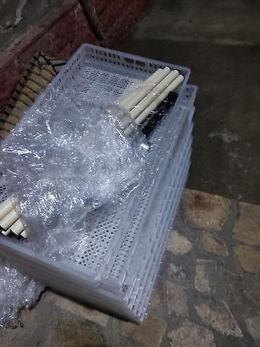 Продам новый инкубатор Китай на 1000 кур яиц. 50 000 сом at lalafo.kg Продам новый инкубатор Китай на 1000 кур яиц. 50 000 сом