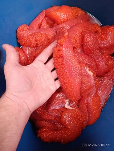 Куплю икру форели сырую крупную в ястыках много .
икра форель at lalafo.kg Куплю икру форели сырую крупную в ястыках много .
икра форель