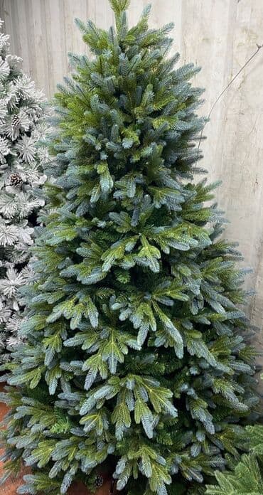 Art_home: Елки новогодние елки литые елки пышные елки Идут продажи at lalafo.kg Art_home: Елки новогодние елки литые елки пышные елки Идут продажи