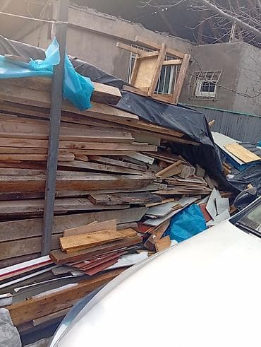 Хвоя at lalafo.kg Хвоя