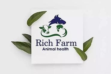 ЗАЗ: Графика дизайнери lalafo.kg да — 3 ЗАЗ: Графика дизайнери — 3