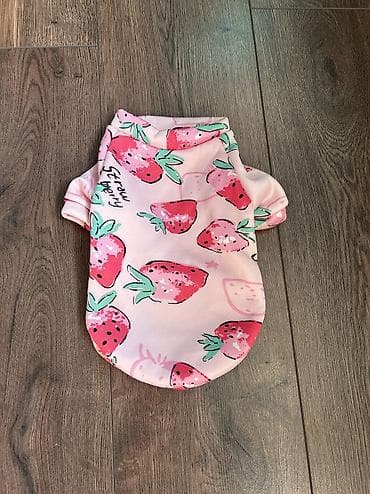 Одежда для собак и кошек. По размерам НОВАЯ. ЦЕНА НА ОДЕЖДУ ОТ 200 at lalafo.kg Одежда для собак и кошек. По размерам НОВАЯ. ЦЕНА НА ОДЕЖДУ ОТ 200