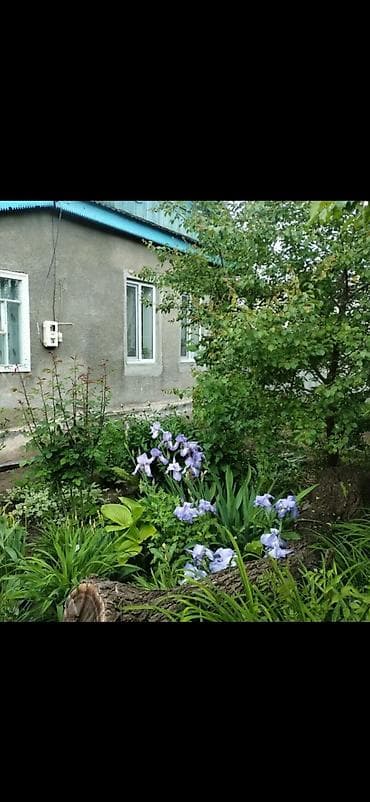 60 м², 4 комнаты, Забор, огорожен at lalafo.kg 60 м², 4 комнаты, Забор, огорожен