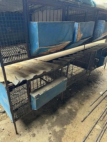 Многоярусная клеточная батарея для содержания животных/птицы at lalafo.kg Многоярусная клеточная батарея для содержания животных/птицы