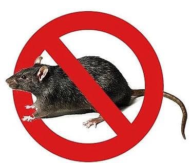 Дезинфекция, дезинсекция, | Мыши и крысы, | Кафе, магазины at lalafo.kg — 3 Дезинфекция, дезинсекция, | Мыши и крысы, | Кафе, магазины — 3