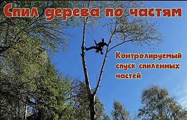 Жаанын 19 м, 200 т lalafo.kg да Жаанын 19 м, 200 т