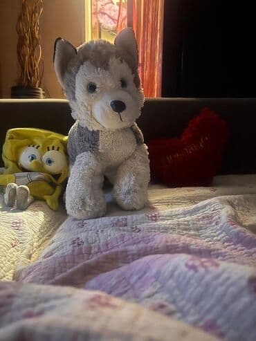 Мягкая игрушка «Хаски» — плюшевый щенок серо-белого цвета. - at lalafo.kg Мягкая игрушка «Хаски» — плюшевый щенок серо-белого цвета. -