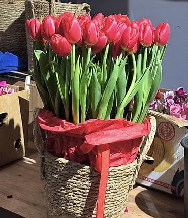 Тюльпан: Самовывоз, Платная доставка at lalafo.kg — 6 Тюльпан: Самовывоз, Платная доставка — 6