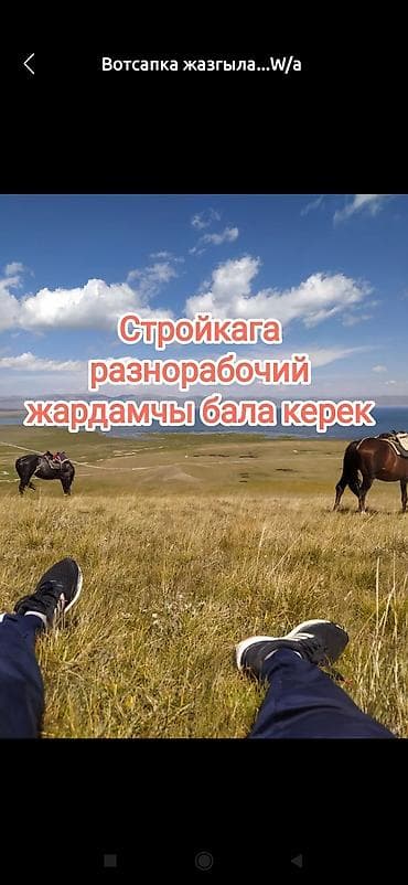 Требуется Разнорабочий, Оплата: Ежедневно, Без опыта at lalafo.kg Требуется Разнорабочий, Оплата: Ежедневно, Без опыта