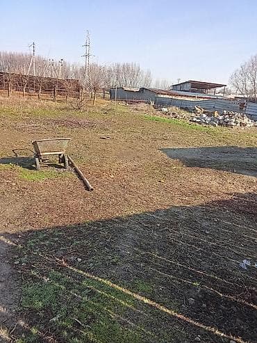 Услуги разнорабочий уборка территории огород двор сад сарай грузчики at lalafo.kg Услуги разнорабочий уборка территории огород двор сад сарай грузчики